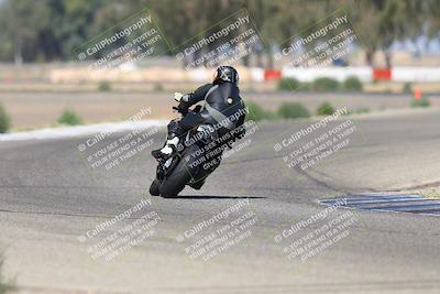 media/Sep-07-2025-Pacific Track Time (Sun) [[a6322260b9]]/C Group/Wheelie Bump/